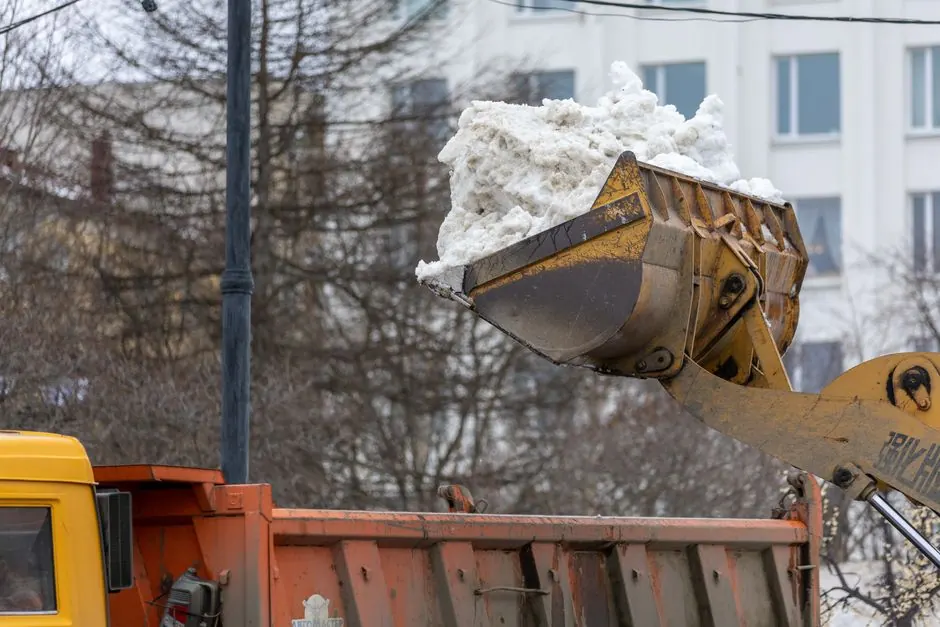 Professional Tank Removal and Disposal in Casa Grande